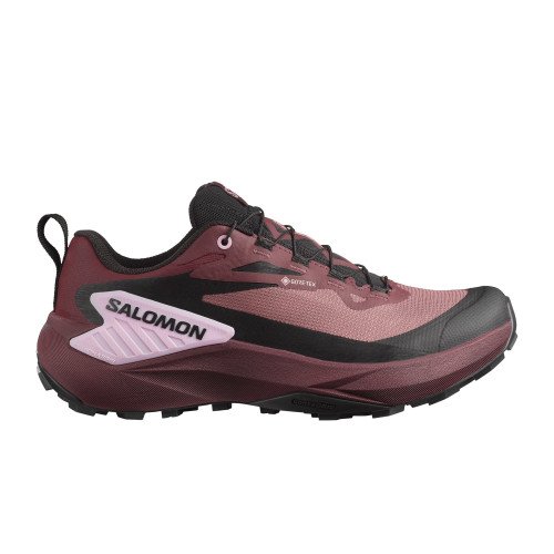 Salomon Genesis GTX (L47588900) [1]