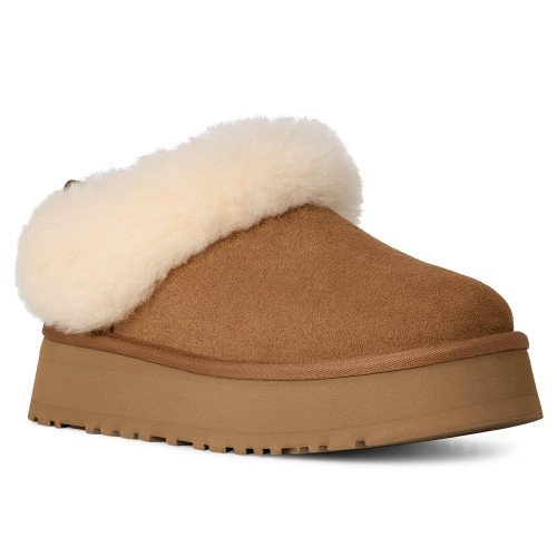 UGG Tazzelle (1171393-CHE) [1]