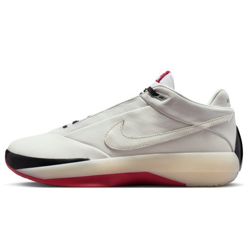 Nike Jordan Air Jordan 40 "Cash" (IQ4087-100) [1]