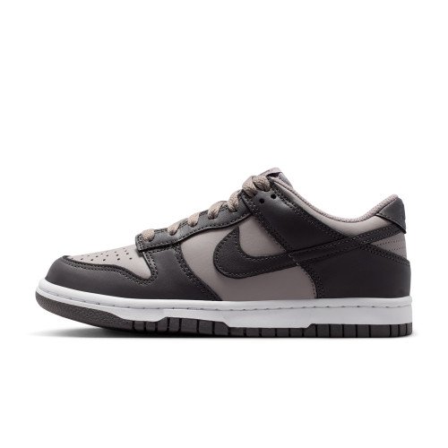 Nike Dunk Low (FB9109-203) [1]