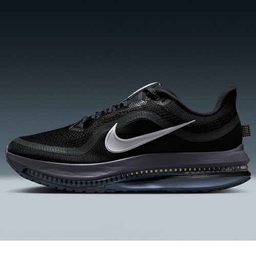 Nike Pegasus Premium (HQ2592-006) [1]