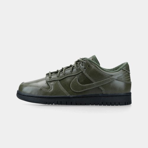 Nike Dunk Low Retro PRM QS (IQ3342-300) [1]