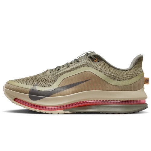 Nike Pegasus Premium (IM6677-222) [1]