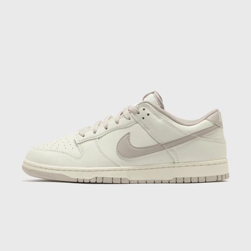 Nike Dunk Low Retro (HF5441-007) [1]