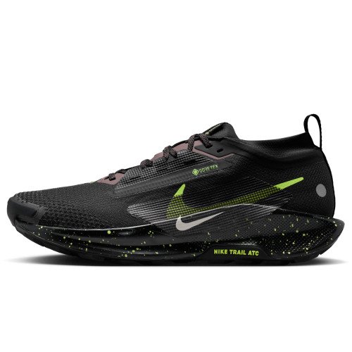 Nike PEGASUS TRAIL 5 GTX (FQ0908-014) [1]