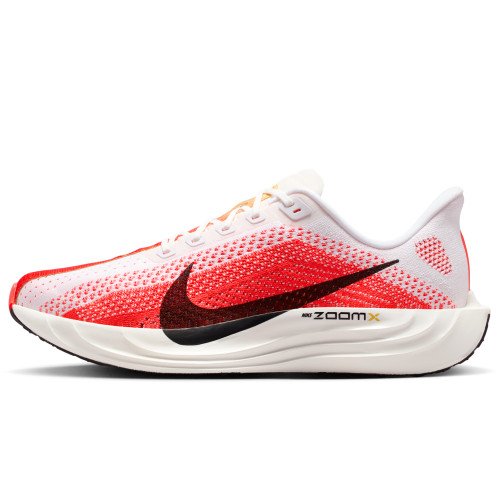 Nike Pegasus Plus (FQ7262-103) [1]