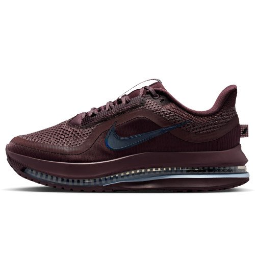 Nike Pegasus Premium (HQ2593-502) [1]