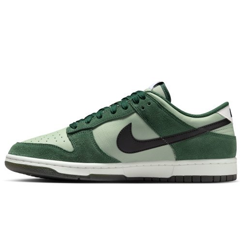 Nike Dunk Low Retro SE (IB6399-301) [1]