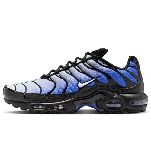 Nike Air Max Plus (DM0032-031) [1]