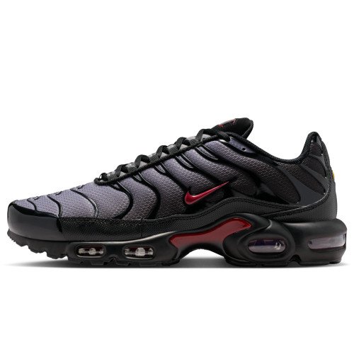 Nike Air Max Plus (DM0032-032) [1]
