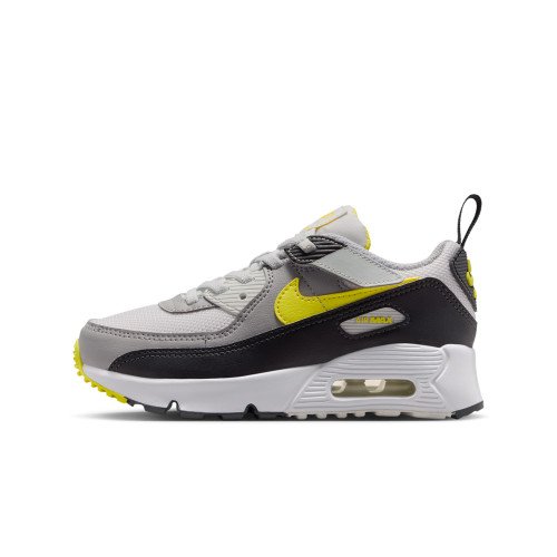 Nike Air Max 90 EasyOn (IQ0096-100) [1]