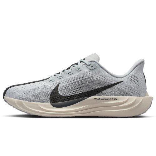 Nike Pegasus Plus (FQ7262-017) [1]