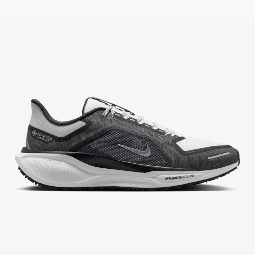 Nike Pegasus 41 GORE-TEX (FQ1356-002-10) [1]