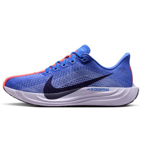 Nike Pegasus Plus (FQ7261-503) [1]