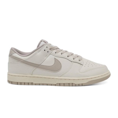 Nike Dunk Low Retro (HF5441-007) [1]