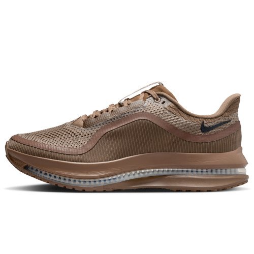 Nike Pegasus Premium SP (IQ5691-200) [1]