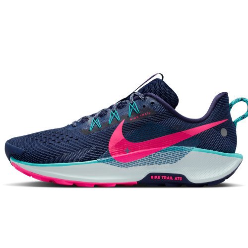 Nike Pegasus Trail 5 (DV3864-403) [1]
