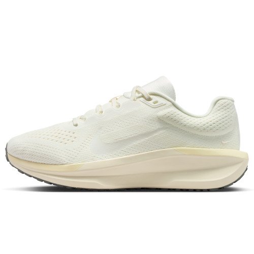 Nike Winflo 11 (FJ9510-113) [1]