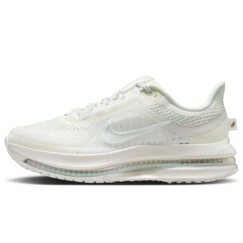 Nike Pegasus Premium (IO9918-100) [1]