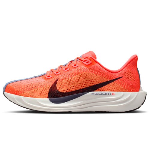 Nike Pegasus Plus (FQ7261-801) [1]