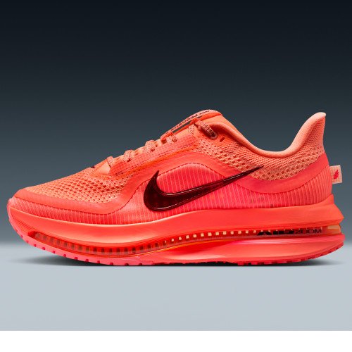 Nike Pegasus Premium (HQ2593-802) [1]