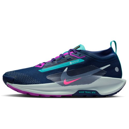 Nike Pegasus Trail 5 GORE-TEX (FQ0908-403) [1]