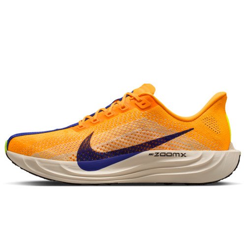 Nike Pegasus Plus (FQ7262-801) [1]