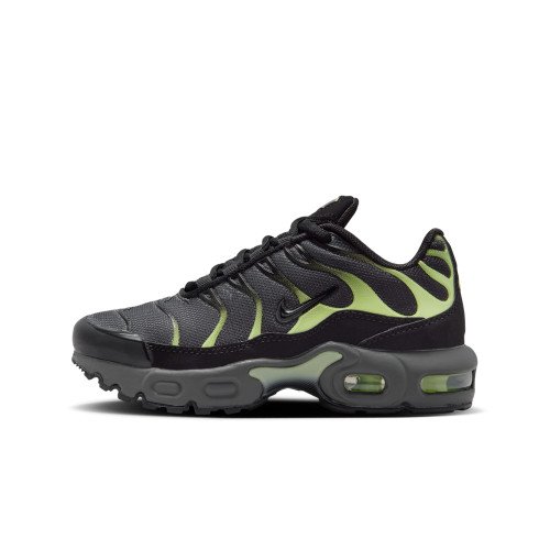 Nike Air Max Plus (FZ0023-044) [1]