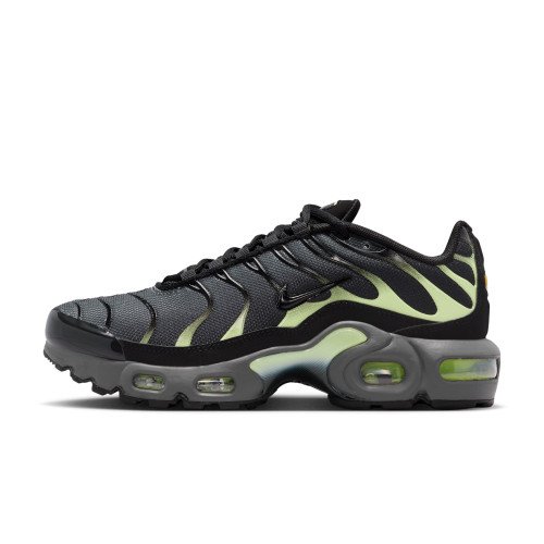 Nike Air Max Plus (CD0609-044) [1]
