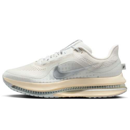 Nike Pegasus Premium (IQ0307-094) [1]