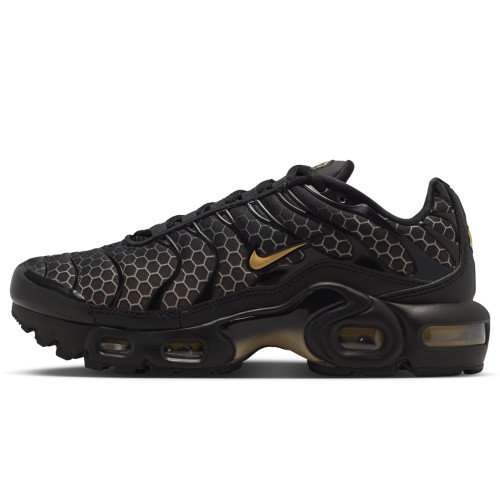 Nike Air Max Plus (IQ7580-010) [1]