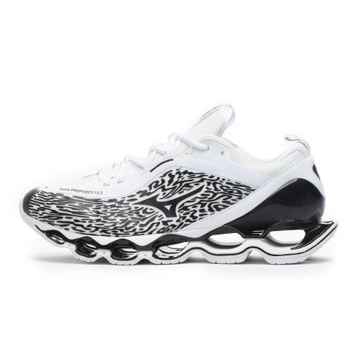 Mizuno Wave Prophecy 13.2 (D1GA261304) [1]