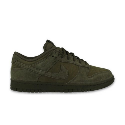 Nike Dunk Low Retro SE (IB6651-300) [1]