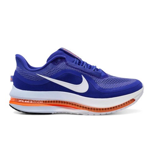 Nike Pegasus Premium (HQ2592-400) [1]