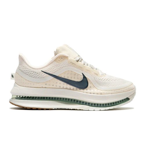 Nike Pegasus Premium (HQ2592-106) [1]