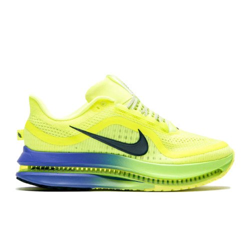 Nike Pegasus Premium (HQ2592-702) [1]