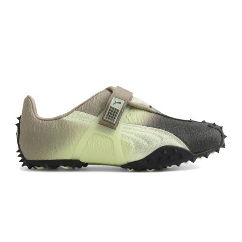 Puma RPT-2 Biology (406228-01) [1]