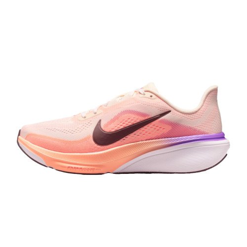 Nike Pegasus 42 (IB1881) [1]