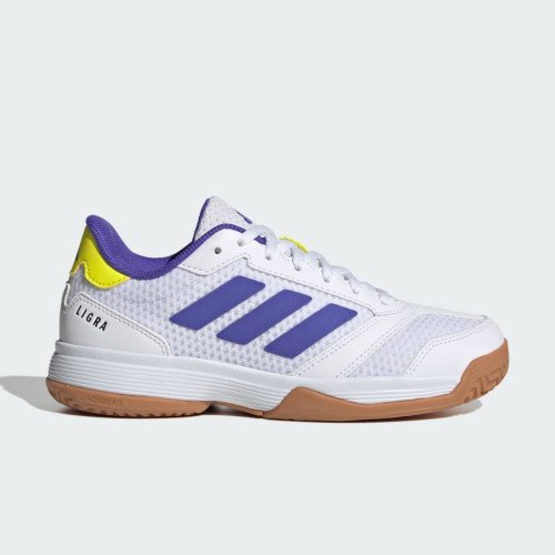 adidas Originals Ligra 8 Indoor Kids (KK2037) [1]