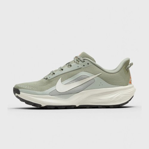 Nike Acg Pegasus Trail (HV8116-310) [1]