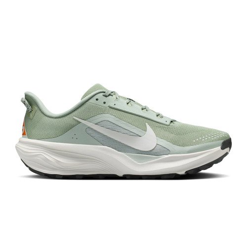 Nike Acg Pegasus Trail (HV8116-310) [1]