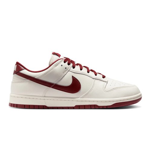 Nike Dunk Low Retro (HF5441-008) [1]