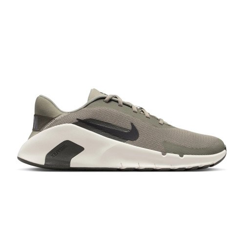 Nike FLEX TRAIN (HV9972-301) [1]