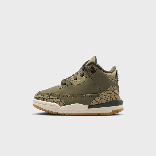 Nike Jordan Air Jordan 3 Retro "Family Affair" (TD) (DM0968202) [1]