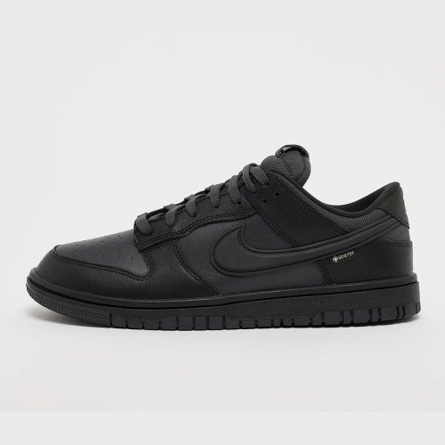 Nike Dunk Low GTX (HQ2053001) [1]