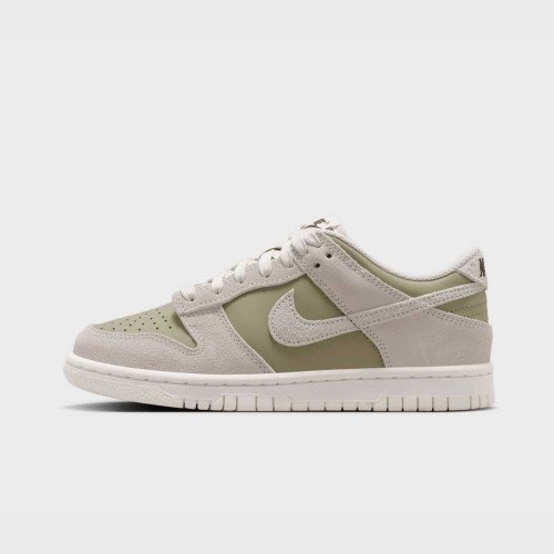 Nike Dunk Low BG (GS) (IU7562276) [1]