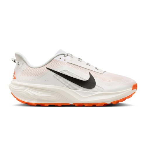 Nike ACG Pegasus (HV8116-103) [1]