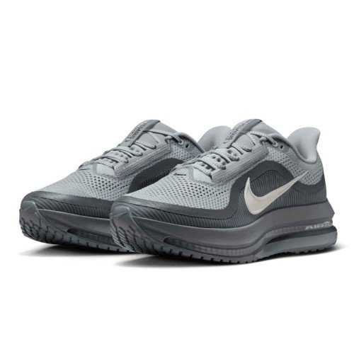 Nike Pegasus Premium (HQ2592013) [1]