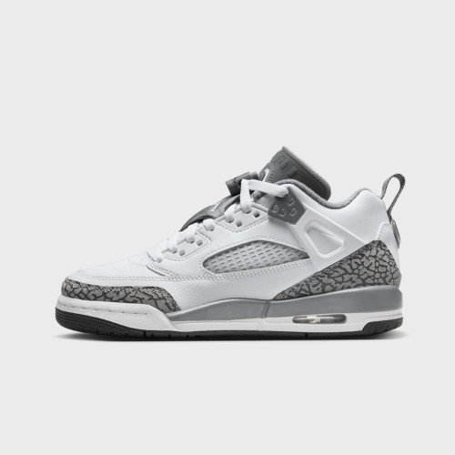 Nike Jordan Spizike Low (GS) (FQ3950102) [1]
