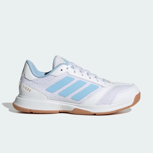 adidas Originals Ligra 8 Indoor (KK2041) [1]